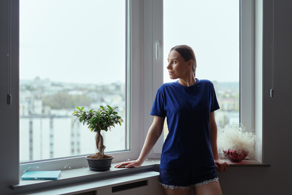 Denver Bay & Bow Windows